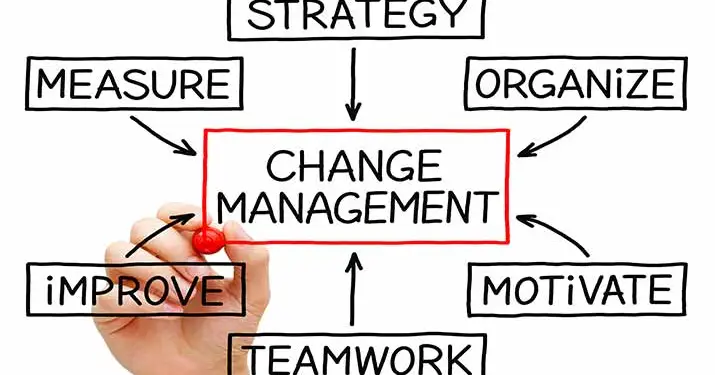 sascha-eckert.com change management